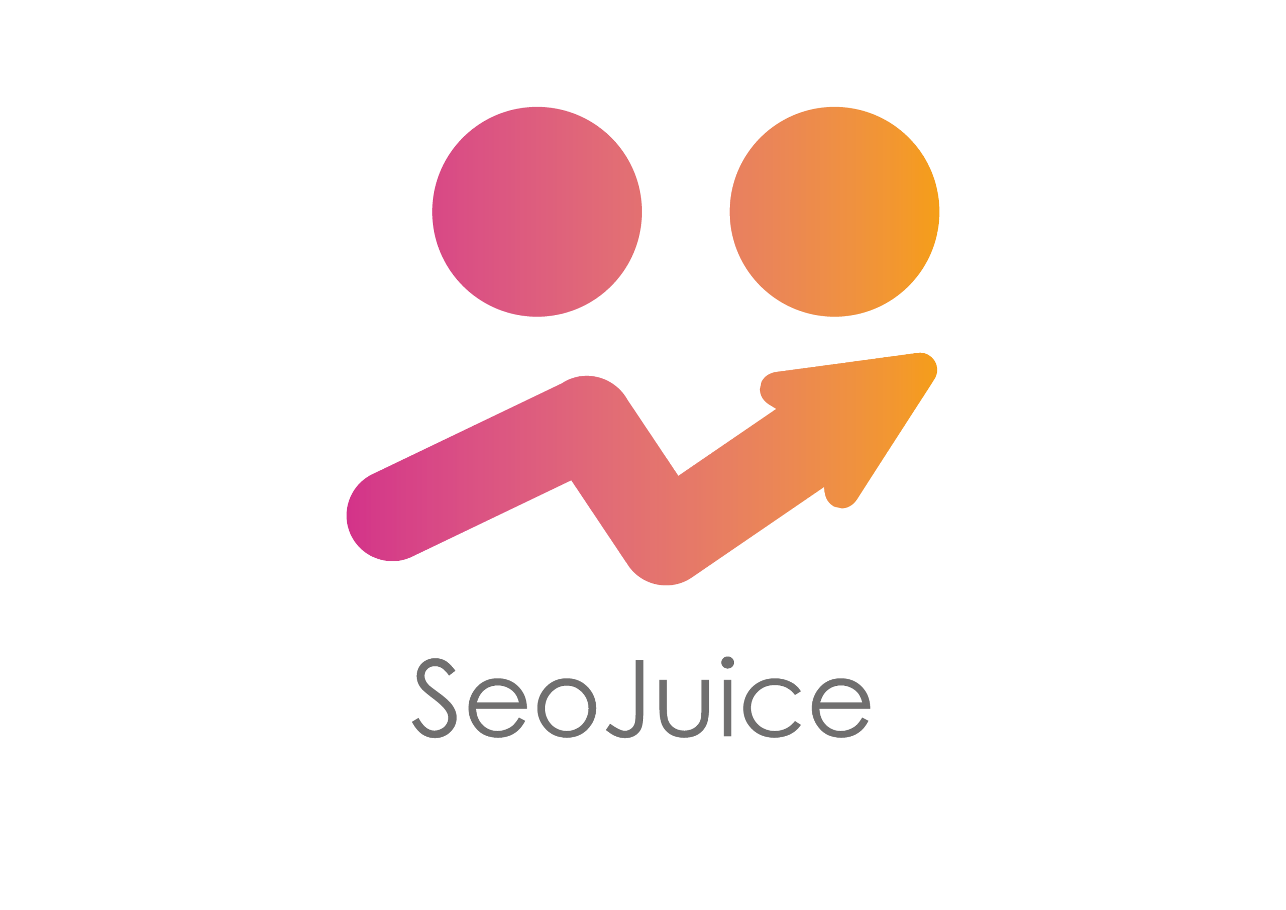 SeoJuice-06