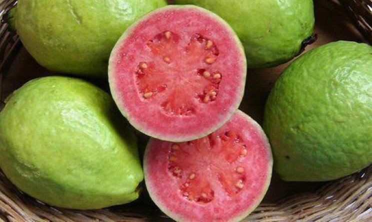 Guava benefici proprieta per intestino e stomaco