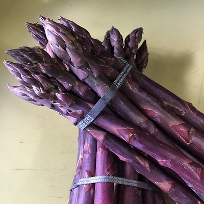 asparago violetto
